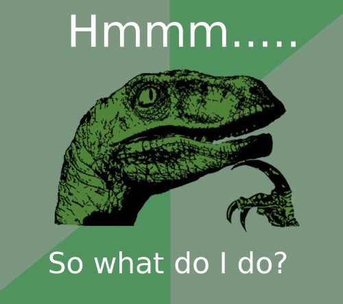 firebase what do I do dinasaur