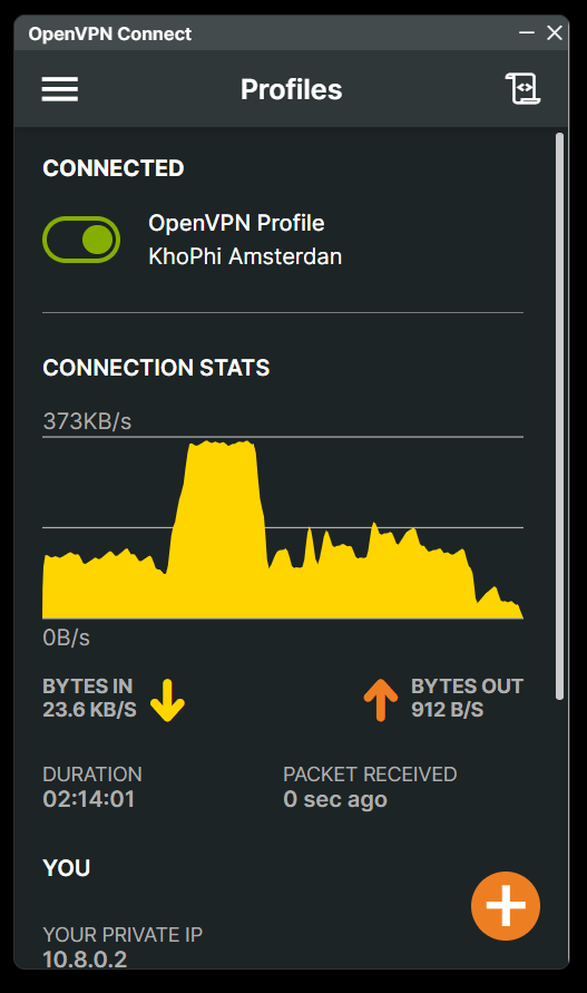 openvpn